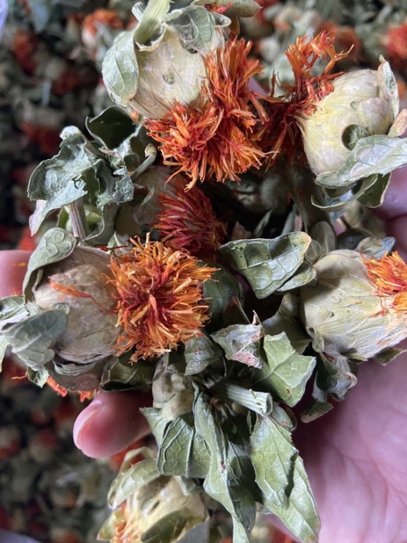 红花果整朵中药材草红花果泡水喝