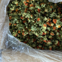 红花果整朵中药材草红花果泡水喝