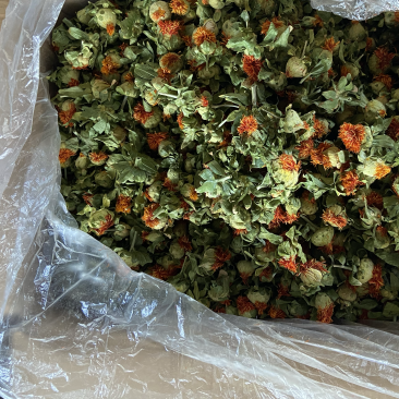 红花果整朵中药材草红花果泡水喝
