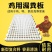 鸡用漏粪板鸡鸭鹅家禽接粪板小鸡保育床鸽子漏粪板鸡舍养殖设