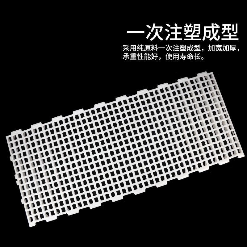 鸡用漏粪板鸡鸭鹅家禽接粪板小鸡保育床鸽子漏粪板鸡舍养殖设