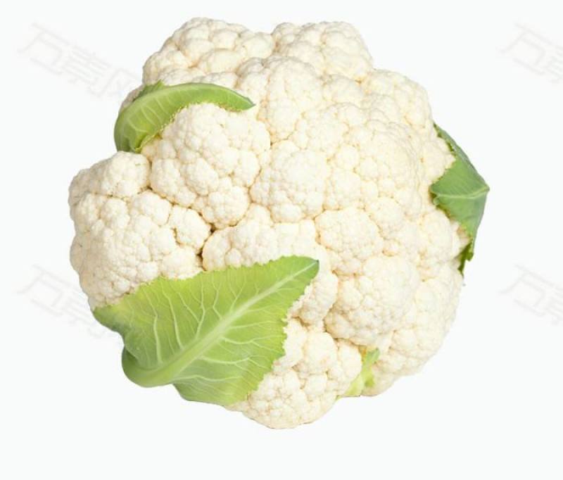 【热卖】优质供货电商，松花菜，云南曲靖，自己种植量大价优