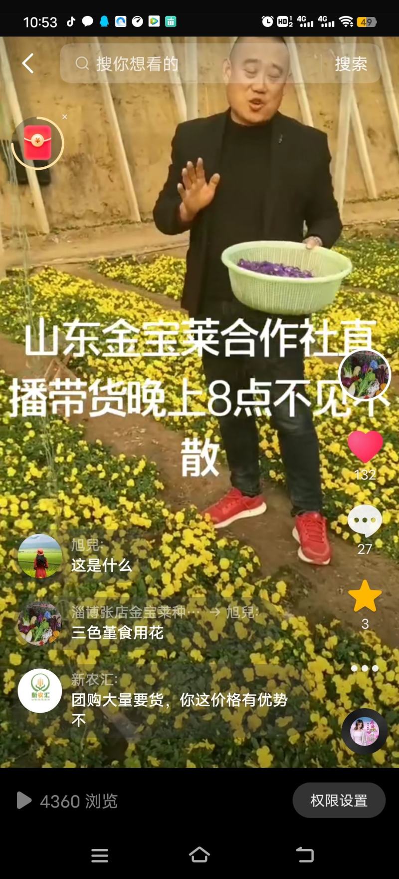 山东金宝莱合社冰草非洲冰草，霸王花，三色堇
