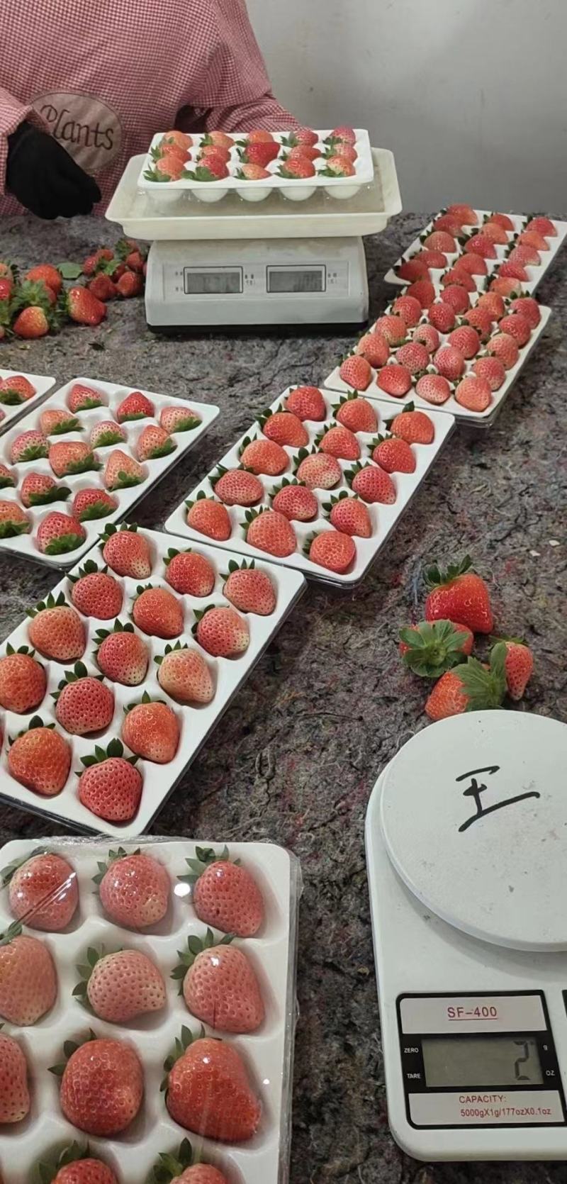 [热卖]江苏徐州草莓产地直发专业代办