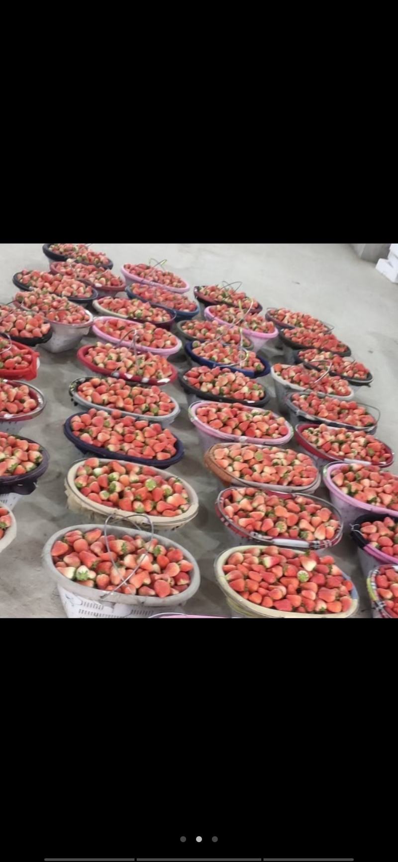 [热卖]江苏徐州草莓产地直发专业代办