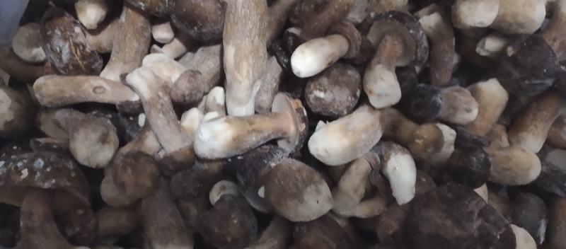 速冻美味牛肝，一级