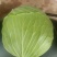 本地精品莲花白，个体大扁平，质量保证，价格实惠欢迎抢购