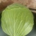 本地精品莲花白，个体大扁平，质量保证，价格实惠欢迎抢购