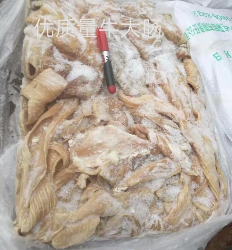 牛小肠牛肠烧烤速冻牛肠牛杂冷冻批半熟牛小肠