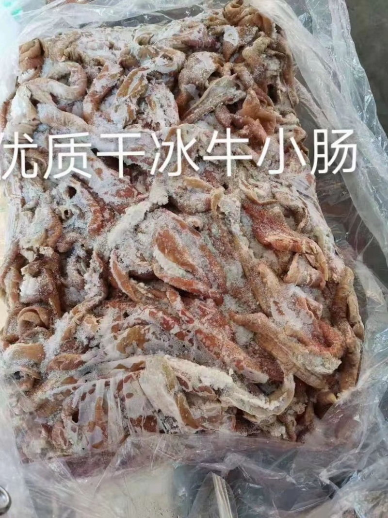 牛小肠牛肠烧烤速冻牛肠牛杂冷冻批半熟牛小肠