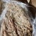 牛小肠牛肠烧烤速冻牛肠牛杂冷冻批半熟牛小肠