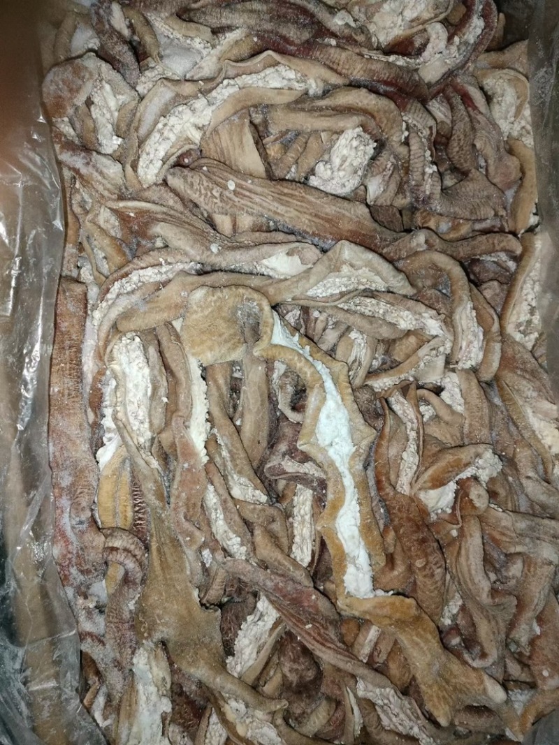 牛小肠牛肠烧烤速冻牛肠牛杂冷冻批半熟牛小肠