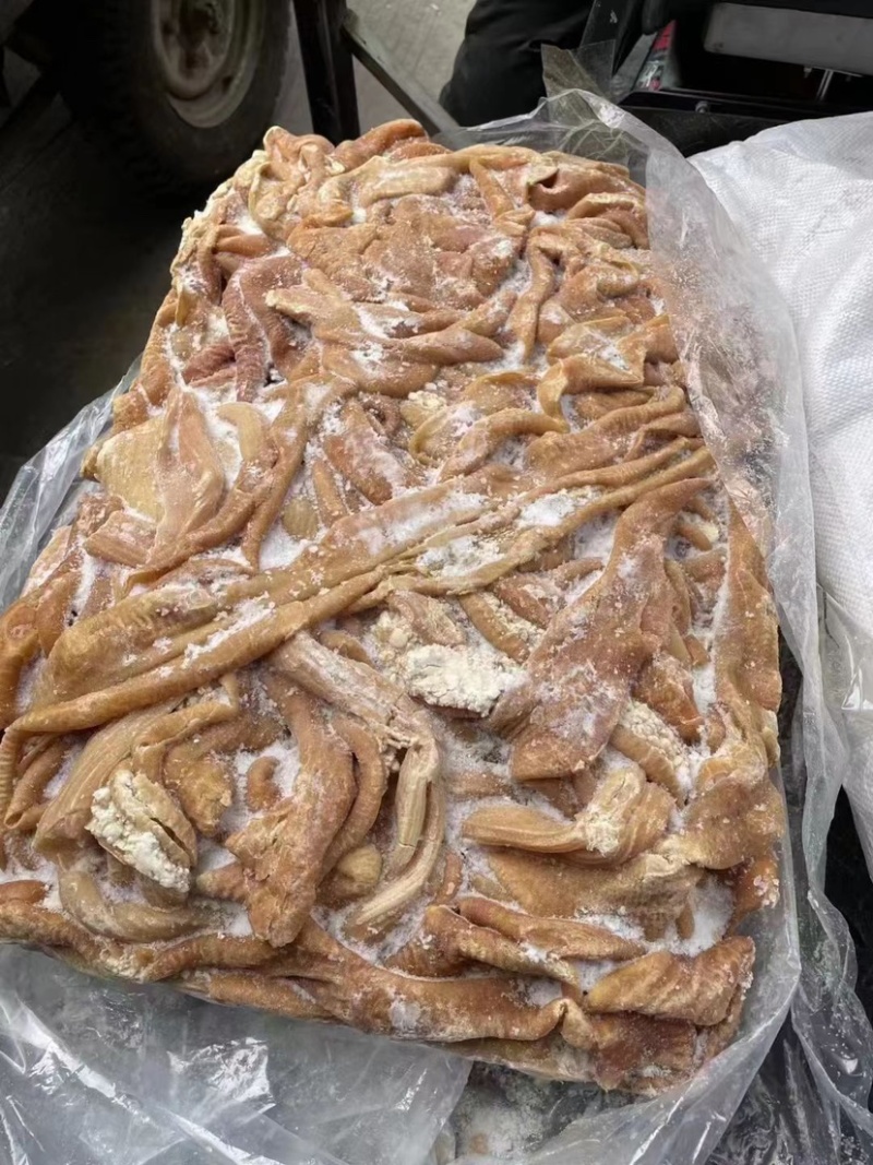 牛小肠牛肠烧烤速冻牛肠牛杂冷冻批半熟牛小肠