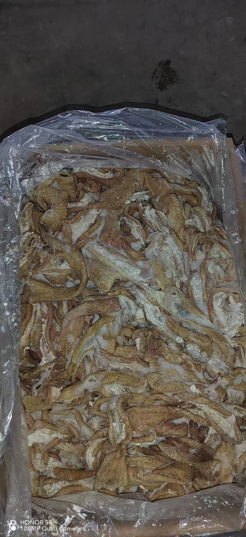 牛小肠牛肠烧烤速冻牛肠牛杂冷冻批半熟牛小肠