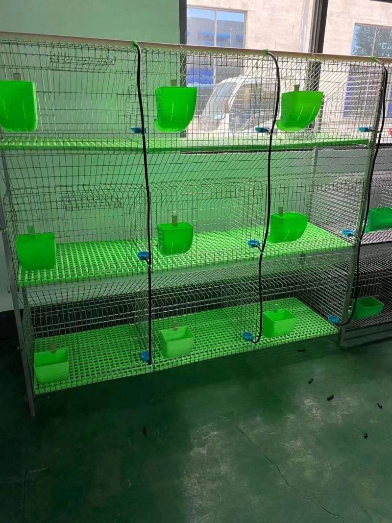 新款免清粪兔笼，子母笼养殖笼两用