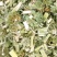 益母草坤草产地山东农家晒制中药材全品类批发