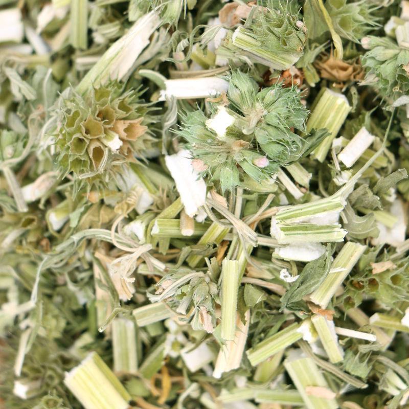 益母草坤草产地山东农家晒制中药材全品类批发