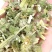 益母草坤草产地山东农家晒制中药材全品类批发