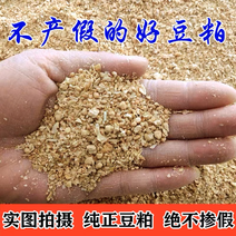 豆粕小料工厂直供量大质优诚信经营质量保证