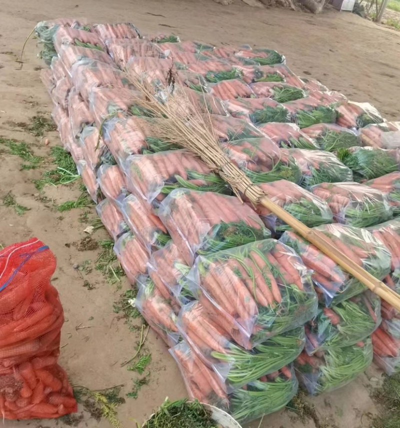 精品三红胡萝卜原产地发货质量保证水洗加工对接各大批发市场