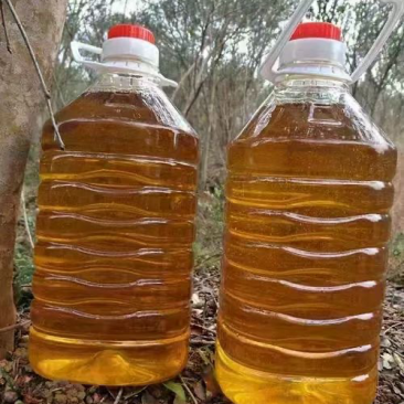山茶油