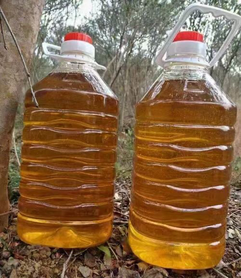 山茶油