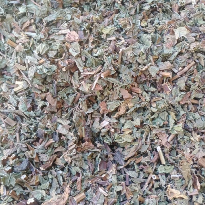 薄荷头茬新货颜色青叶多味道很大量大从优