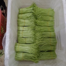 芦蒿