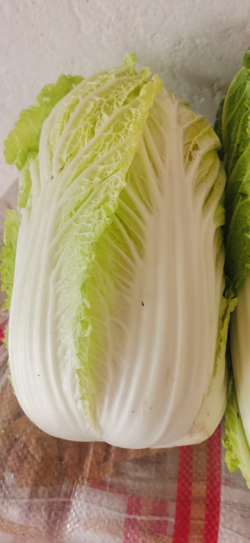 陕西宝鸡大白菜产地地头装货色白味美多汁，对接电商超市