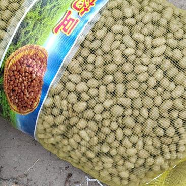 原产地常年批发零售优质白玉山药豆规格齐全价格合