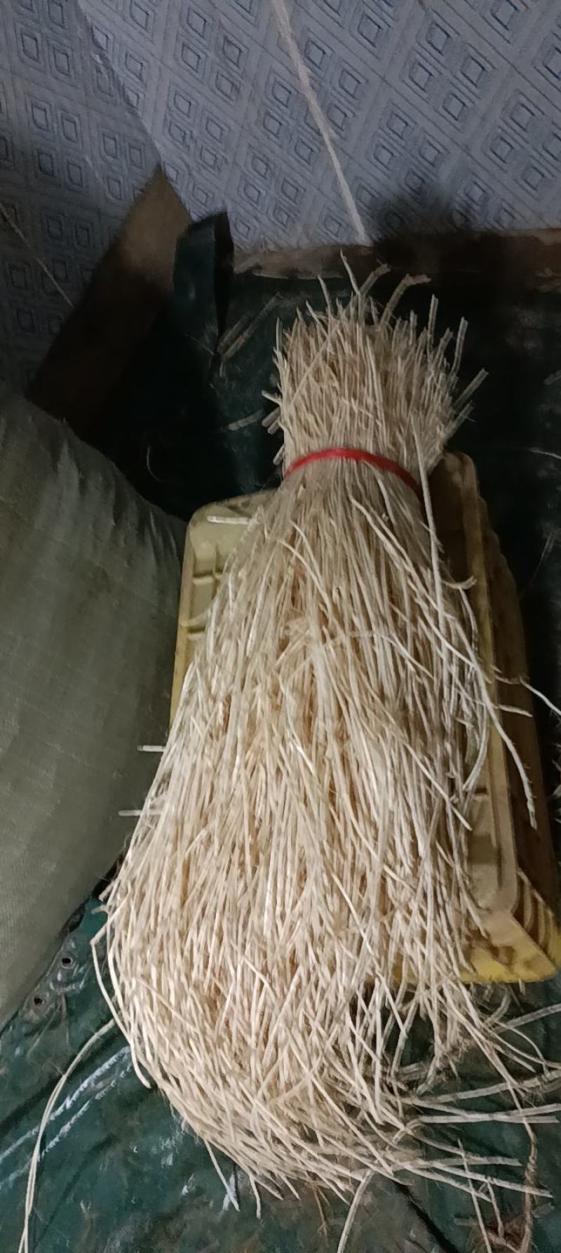 白茅根