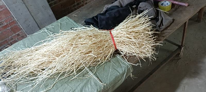 白茅根