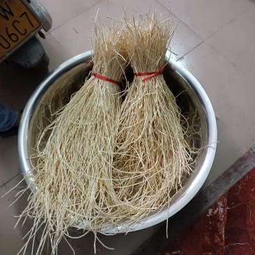 白茅根