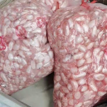 鱼泡一手货源