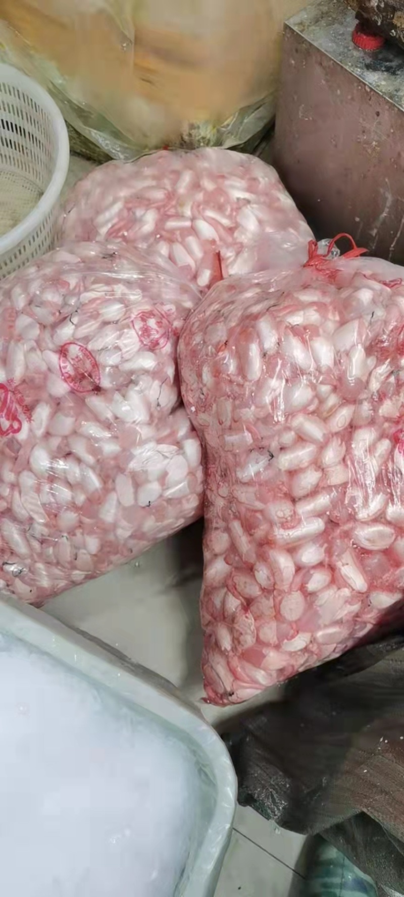鱼泡一手货源