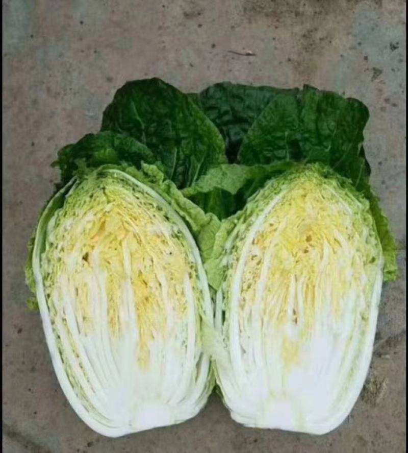 精品娃娃菜