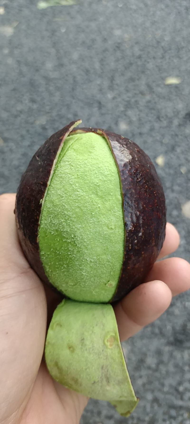 牛油果