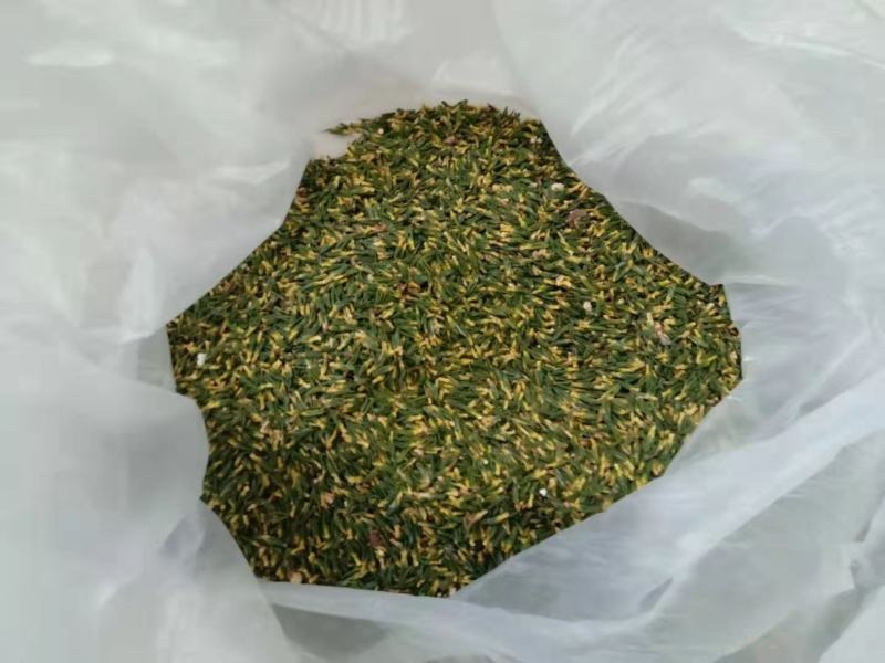 【牛商推荐】干莲子品质保证价格合适欢迎采购