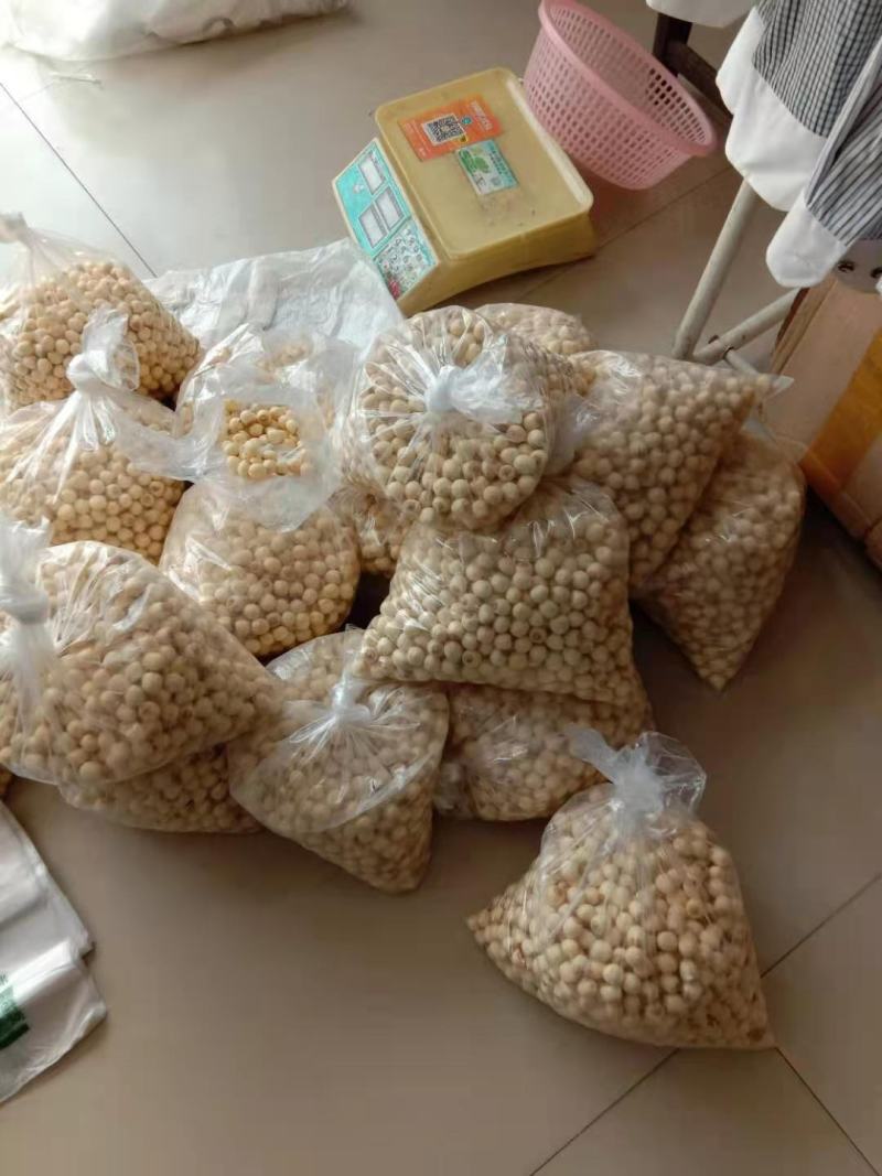 【牛商推荐】干莲子品质保证价格合适欢迎采购