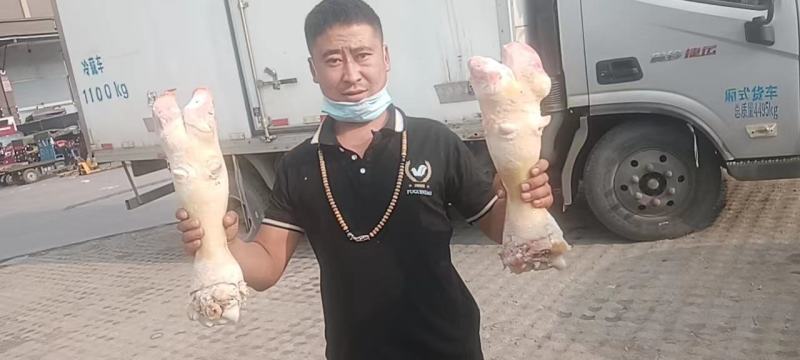 实力供货商牛蹄，牛蹄。牛蹄，牛蹄。牛蹄。