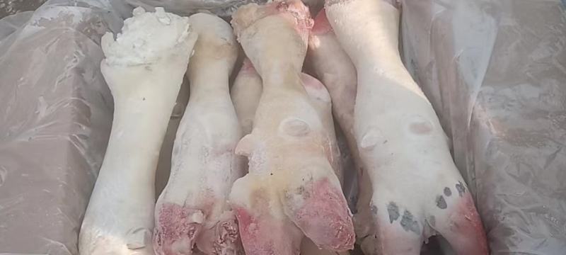 实力供货商牛蹄，牛蹄。牛蹄，牛蹄。牛蹄。