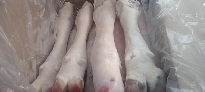 实力供货商牛蹄，牛蹄。牛蹄，牛蹄。牛蹄。
