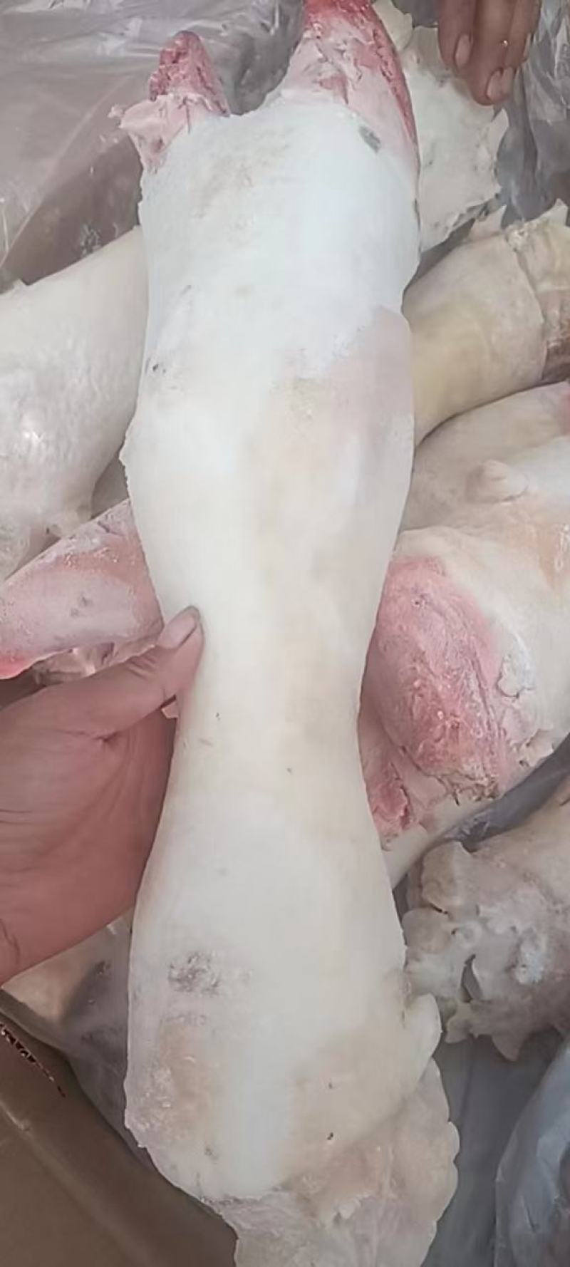 实力供货商牛蹄，牛蹄。牛蹄，牛蹄。牛蹄。