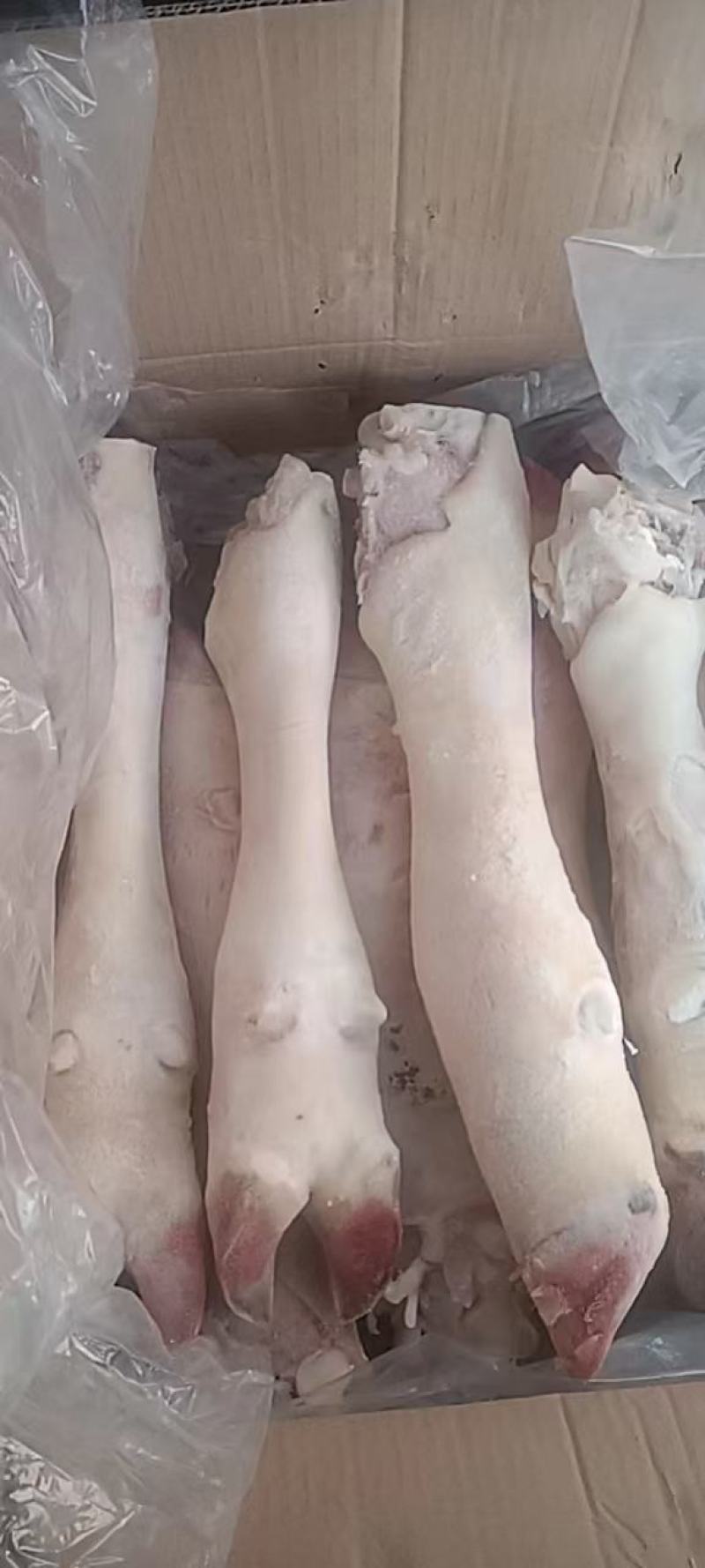 实力供货商牛蹄，牛蹄。牛蹄，牛蹄。牛蹄。