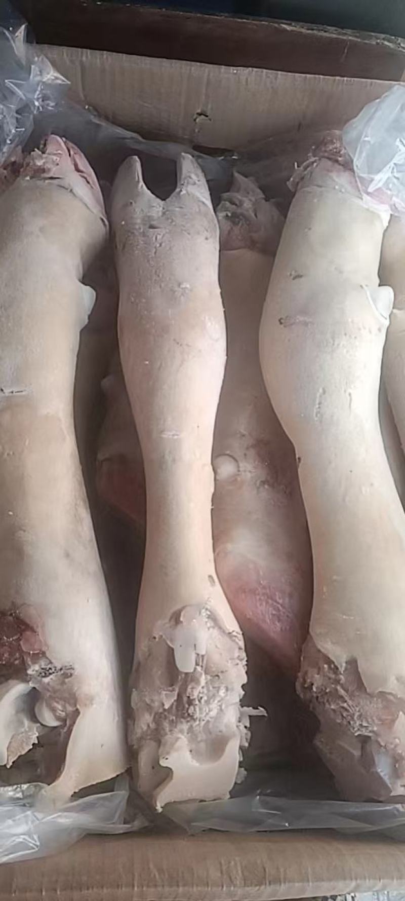 实力供货商牛蹄，牛蹄。牛蹄，牛蹄。牛蹄。