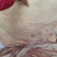 带皮大五花，鲜度，瘦度都很好，新货实拍，