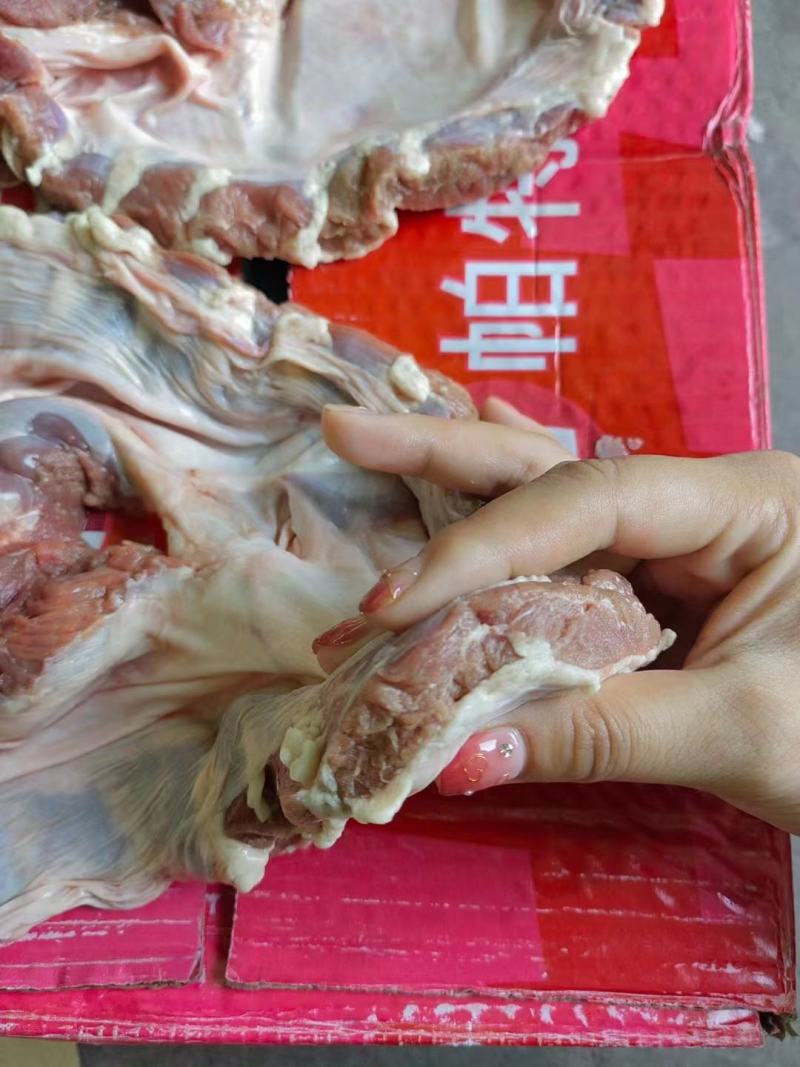 护心肉，新货实拍，品质很好，价格实惠，手续齐全