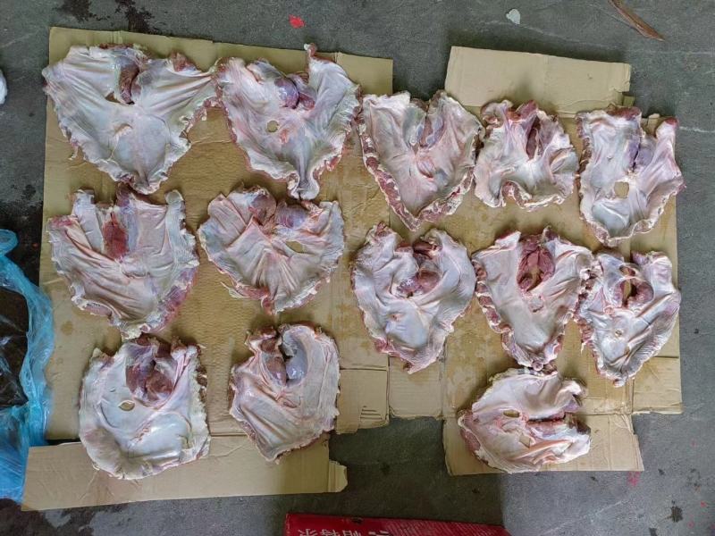 护心肉，新货实拍，品质很好，价格实惠，手续齐全