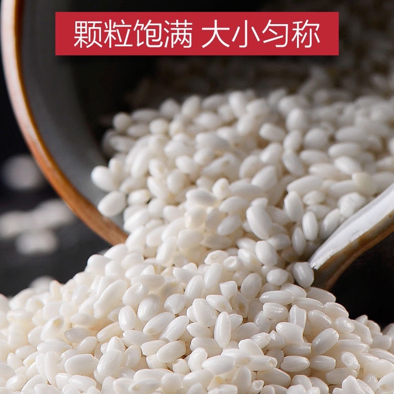 圆糯米批发质优价廉可开专票米厂发货大量现货