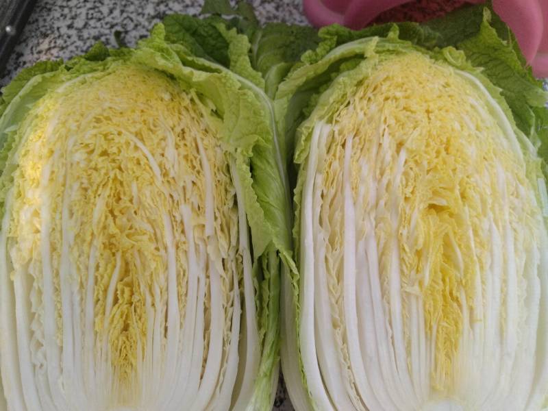 秋喜，湖北蔬菜基地直发，黄心大白菜，质量好，一手货源。